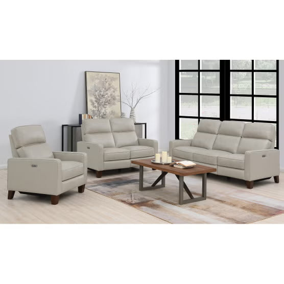 Jackston Leather Power Reclining Sofa with Power Headrest