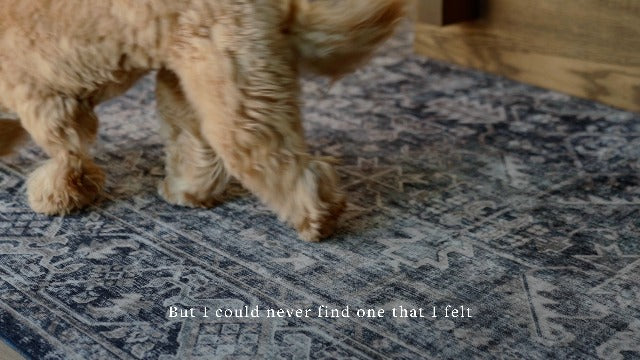 Loloi Amber Lewis Josie JOS-05 Dove/Gold Accent Rug 2'3'' x 3'9'