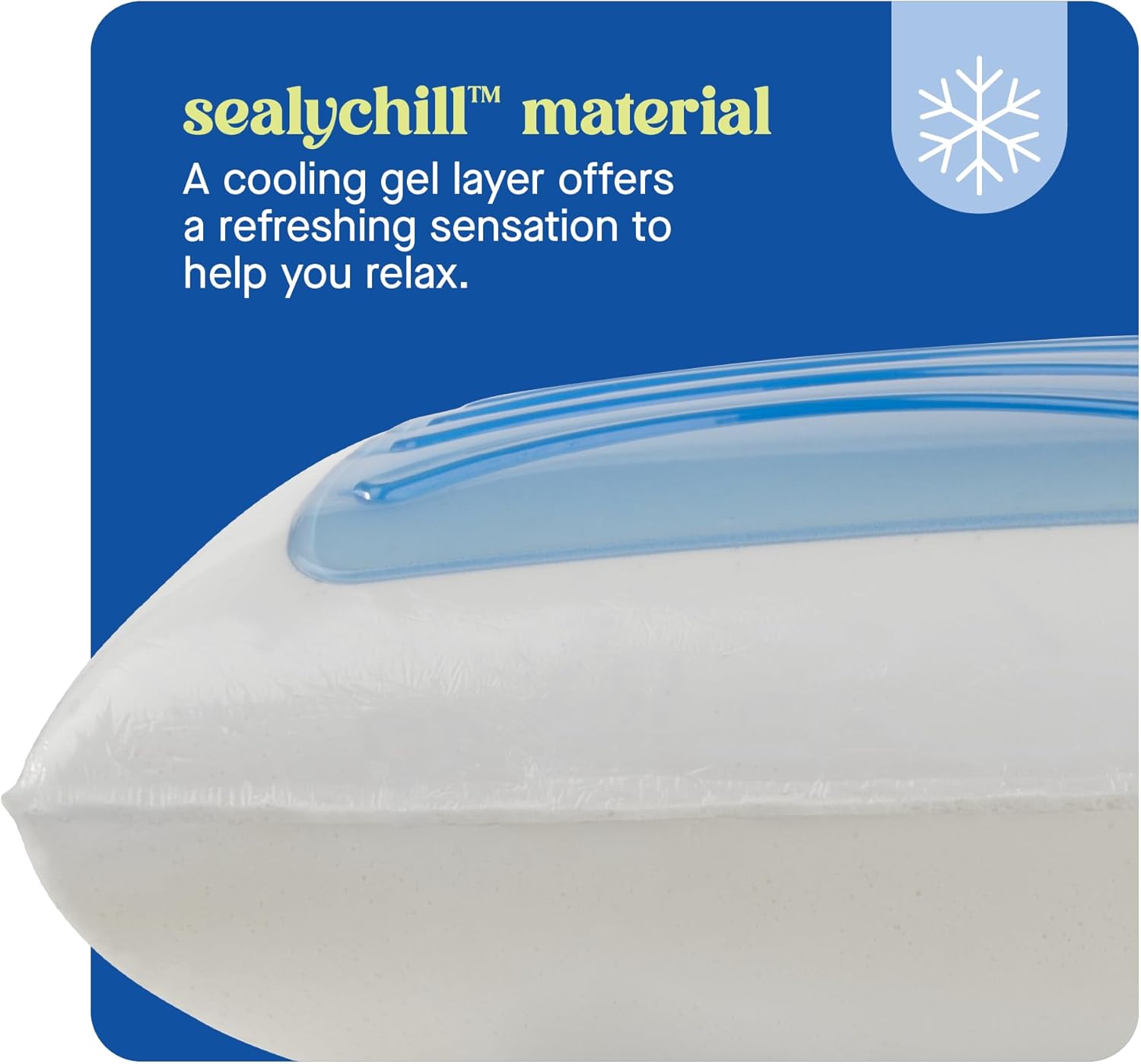 Sealy Dreamlife Memory Foam Gel Pillow