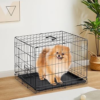 Sweetcrispy 24" Single-Door Dog Crate – Foldable Metal Kennel with Removable Tray