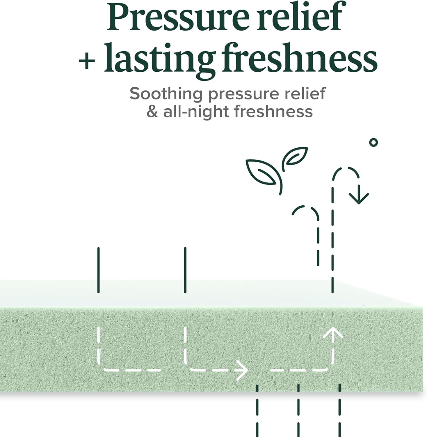 ZINUS 5 Inch Twin Size Green Tea Memory Foam Mattress