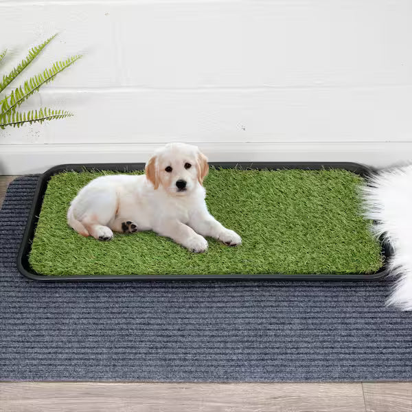 Ottomanson 15" x 30" Artificial Grass Puppy Potty Training Pad with Tray – Reusable